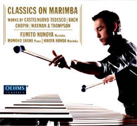 Der japanische Perkussionist Fumito Nunoya