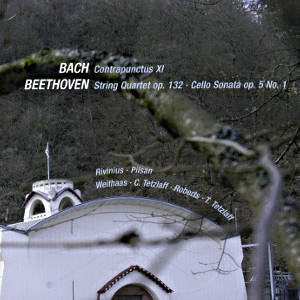 / Avi-music / Avi-music