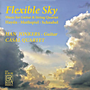 Flexible Sky, Music for Guitar & Strings / Bayer Records