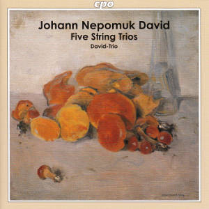 Johann Nepomuk David, Five String Trios