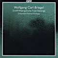 Wolfgang Carl Briegel, Zwölff Madrigalische Trost=Gesänge Wolfgang Carl Briegel, Zwölff Madrigalische Trost=Gesänge