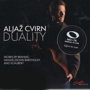 Duality, Aljaž Cvirn Guitar