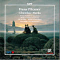 Hans Pfitzner, Chamber Works
