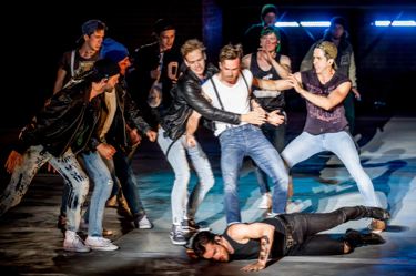 Szene mit Tony, Riff, Diesel, Bernardo, Foto: Andreas Lander
