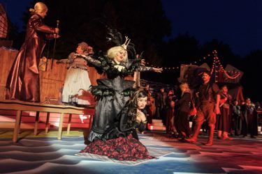 Der Zigeunerbaron - Szenenfoto, Foto: TOG / Jörg Metzner