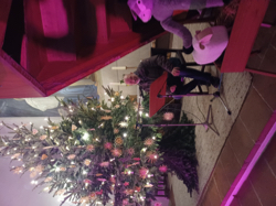 Augsburger Adventskalender mit Klaus Müller, Foto: Maria Trump