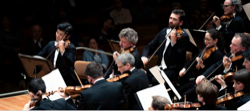 Blick ins Orchester der Berliner Philharmoniker, Foto: Stephan Rabold