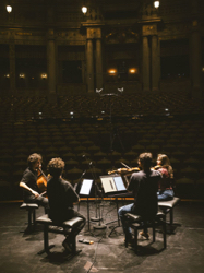 Das Viatores Quartt ist eines der drei Streichquartette, die das Finale bestreiten. Foto: Daniel Delang