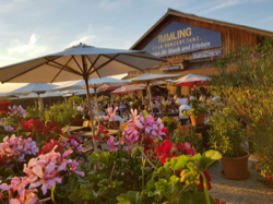 Immling Festival, Foto: Christine Unterseer