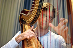 Markus Thalheimer, Foto: Lisa Reiff