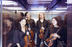 Motus Quartett, Foto: Sofija Wagner