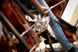 Präparierte Kontrabässe bei den Proben zu den Donaueschinger Musiktagen 2026, Foto: SWR Hans Fahr