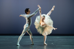 Szene aus Schwanensee mit dem Royal Swedish Ballet bei der Gala 2024, Foto: Jan-Pieter Fuhr