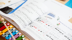 Foto: Elkimelitoo  Pixabay